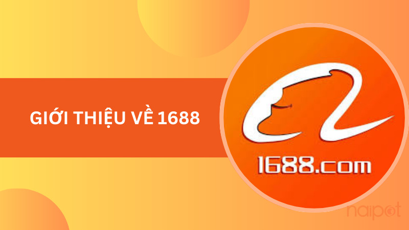 Giới thiệu về 1688 Giới thiệu về 1688