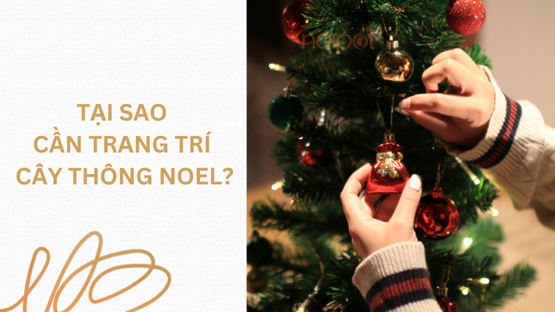 Tại sao phải trang trí cây thông Noel