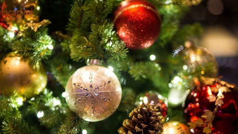 Những quả cầu trang trí đa dạng về màu sắc và kích cỡ