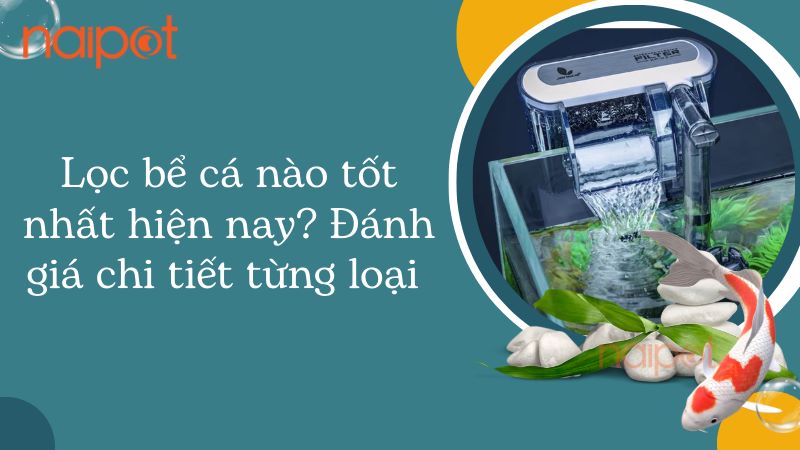 Lọc bể cá nào tốt nhất hiện nay 