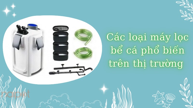 Các loại lọc bể cá phổ biến hiện nay 