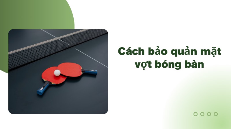 Cách bảo quản mặt vợt bóng bàn Cách bảo quản mặt vợt bóng bàn