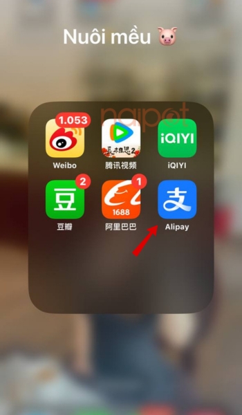 Giao diện Alipay trên điện thoại