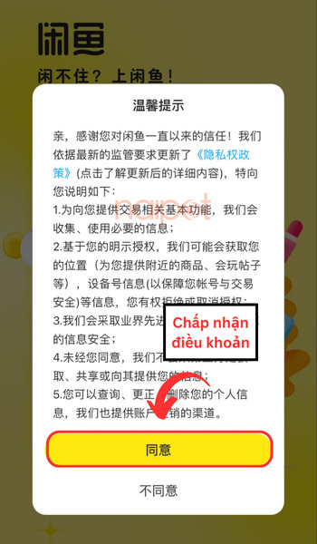 Chấp nhận điều khoản Chấp nhận điều khoản