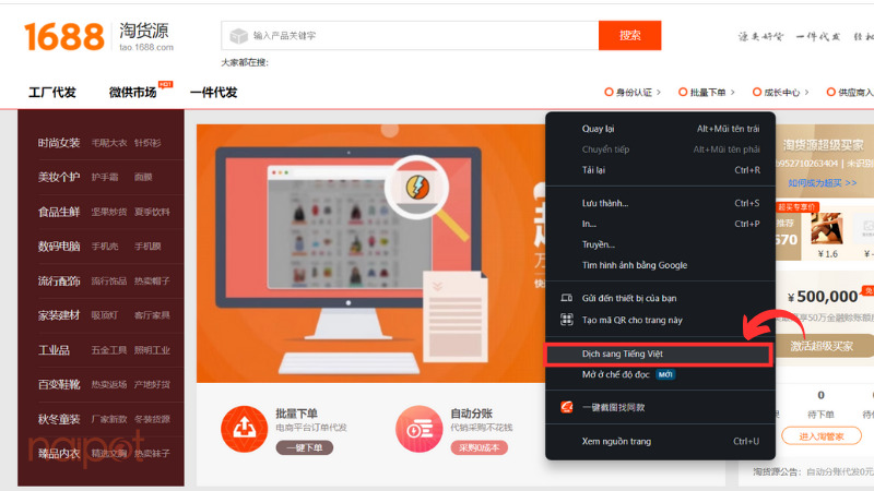 Dịch sang tiếng Việt Dịch sang tiếng Việt