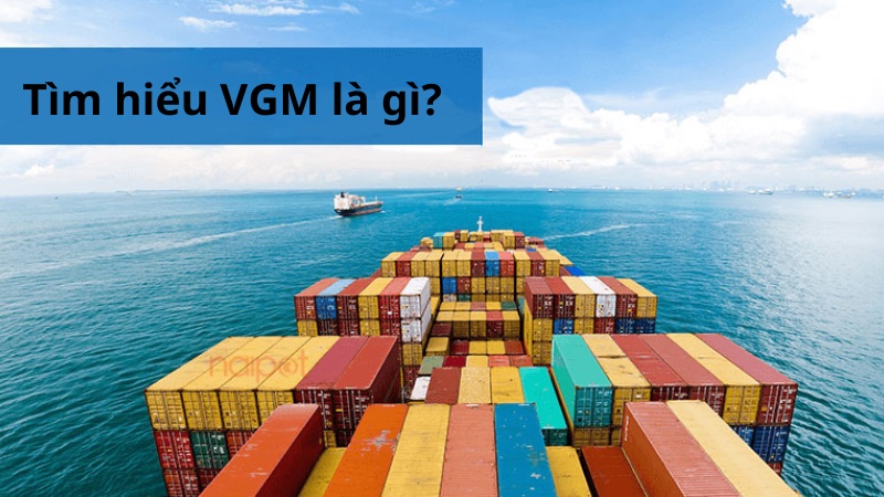 Tìm hiểu VGM là gì? Tìm hiểu VGM là gì?