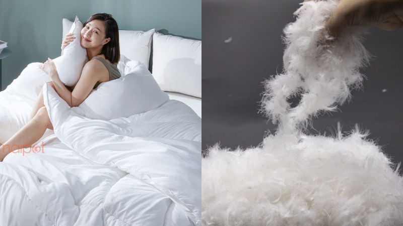 Chăn bông Trung Quốc chất liệu lông vũ  Chăn bông Trung Quốc chất liệu lông vũ