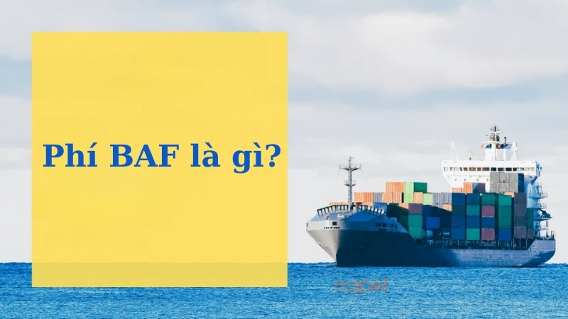 Tìm hiểu phí BAF là gì? Tìm hiểu phí BAF là gì?