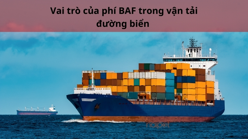 Vai trò của phí BAF trong vận tải đường biển Vai trò của phí BAF trong vận tải đường biển