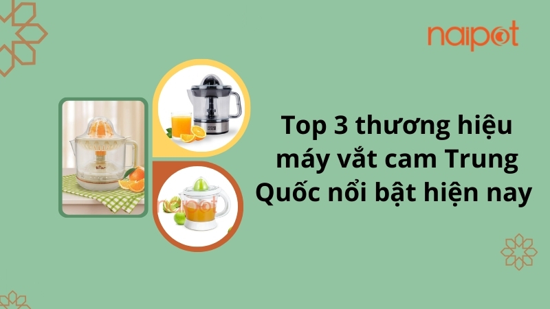 Top 3 thương hiệu máy vắt cam Trung Quốc nổi bật Top 3 thương hiệu máy vắt cam Trung Quốc nổi bật