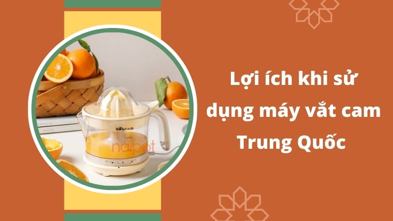 Lợi ích khi sử dụng máy vắt cam Trung Quốc Lợi ích khi sử dụng máy vắt cam Trung Quốc