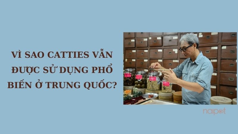 Lý do catties vẫn được dùng phổ biến tại Trung Quốc Lý do catties vẫn được dùng phổ biến tại Trung Quốc
