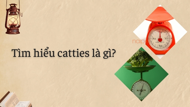 Tìm hiểu Catties là gì Tìm hiểu Catties là gì