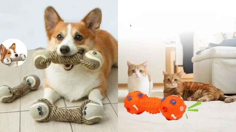 Xương đồ chơi chó mèo Trung Quốc 