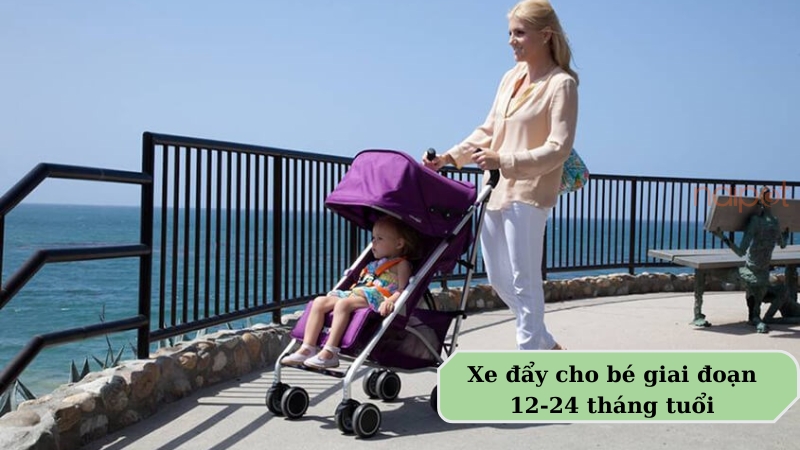 Xe đẩy cho bé giai đoạn từ 12-24 tháng tuổi 