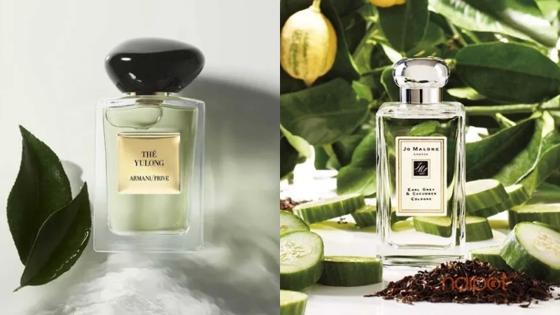 Nước hoa nội địa Trung hương trà xanh 