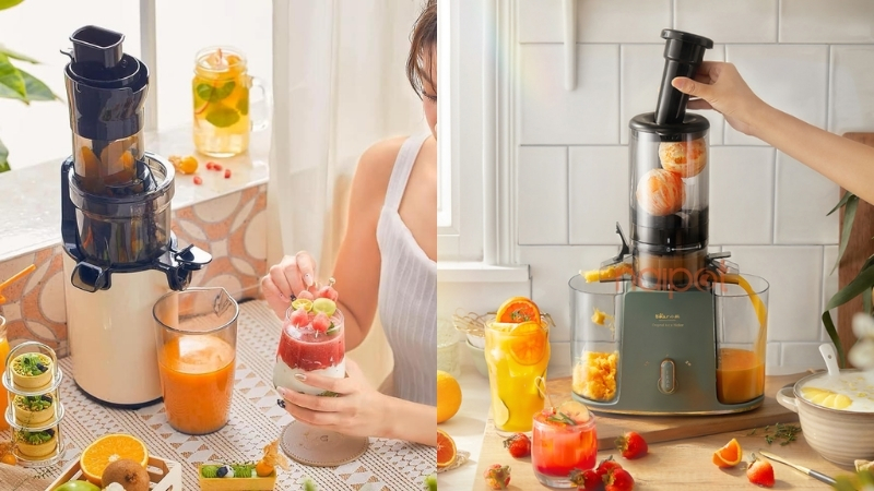 Máy ép chậm Trung Quốc Bear