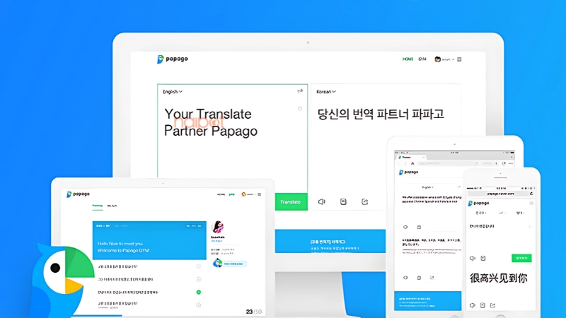 App dịch tiếng Trung Papago