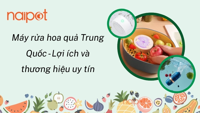 Máy rửa hoa quả Trung Quốc - Lợi ích và thương hiệu uy tín 