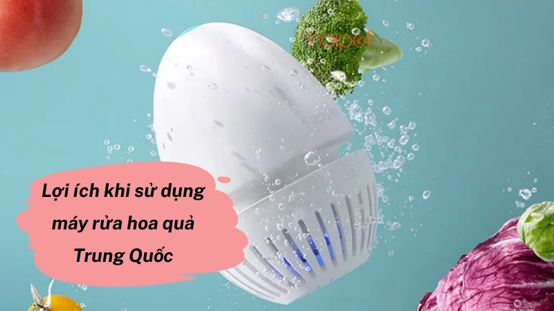 Lợi ích khi sử dụng máy rửa hoa quả Trung Quốc 