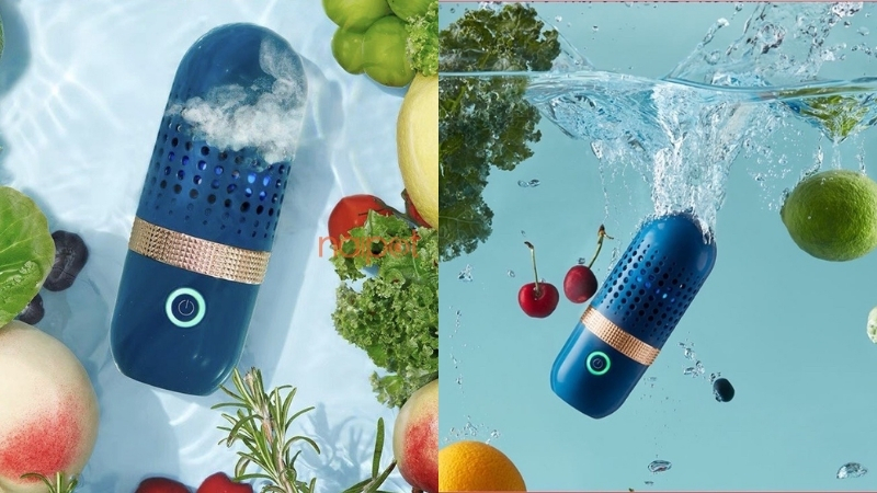 Máy rửa hoa quả Trung Quốc Donlim