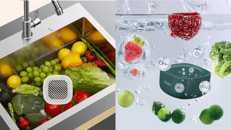 Máy rửa hoa quả Trung Quốc Haier 