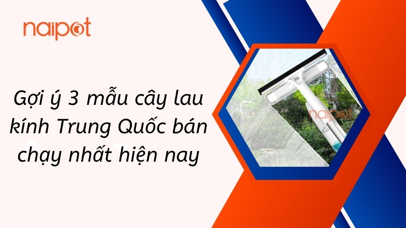 Gợi ý 3 mẫu cây lau kính Trung Quốc bán chạy nhất hiện nay Gợi ý 3 mẫu cây lau kính Trung Quốc bán chạy nhất hiện nay