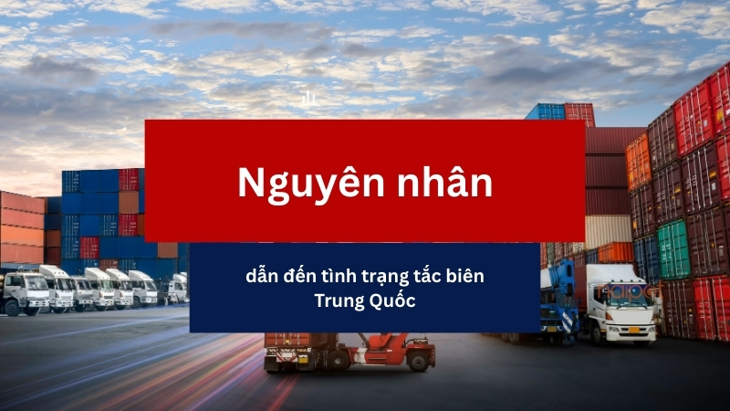 Nguyên nhân dẫn đến tình trạng tắc biên Trung Quốc 