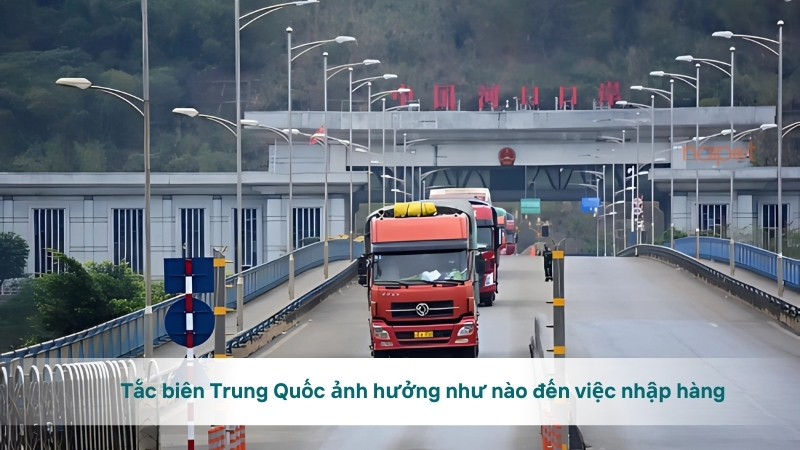 Tắc biên Trung Quốc ảnh hưởng như nào đến việc nhập hàng 