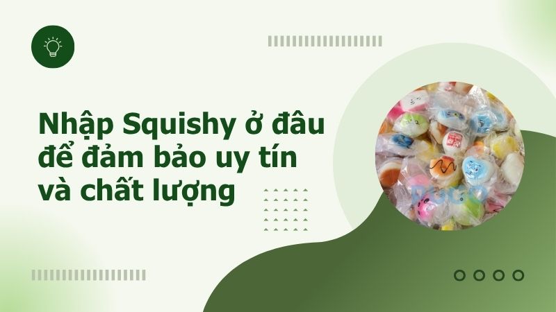 Nhập Squishy ở đâu để đảm bảo uy tín và chất lượng