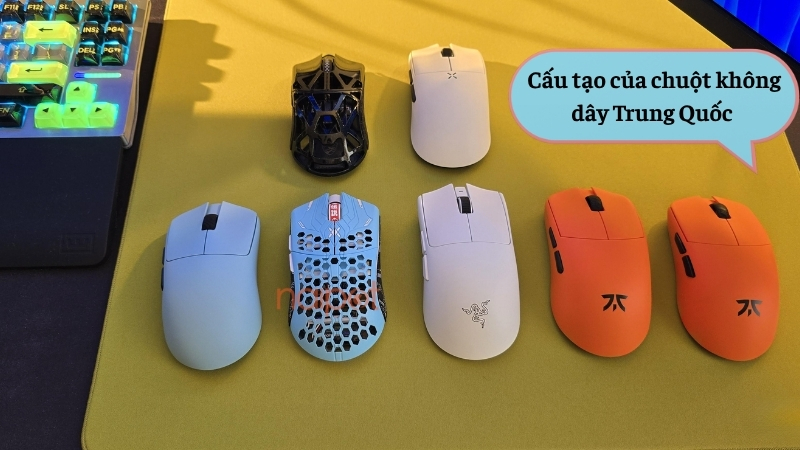 Cấu tạo của chuột không dây Trung Quốc 