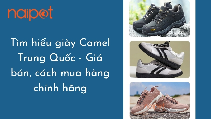Tìm hiểu giày Camel Trung Quốc - Giá bán, cách mua hàng chính hãng Tìm hiểu giày Camel Trung Quốc - Giá bán, cách mua hàng chính hãng