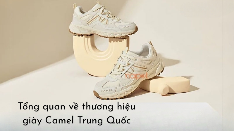 Tổng quan về thương hiệu giày Camel Trung Quốc Tổng quan về thương hiệu giày Camel Trung Quốc