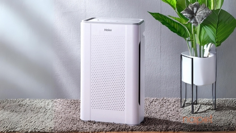 Máy lọc không khí Máy lọc không khí