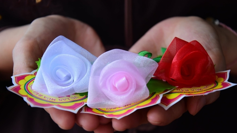 Ý nghĩa của việc cài hoa hồng lên áo ngày Vu Lan 